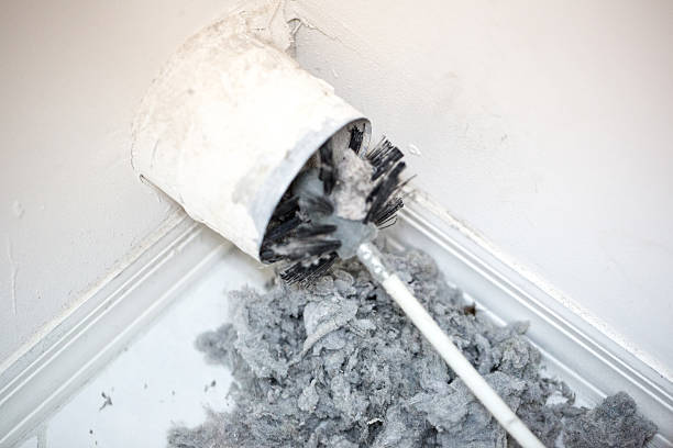 Best Mold and Mildew Removal from Ducts in Chilhowie, VA